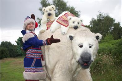 Staffordshire Nature Day and Inka the Polar Bear