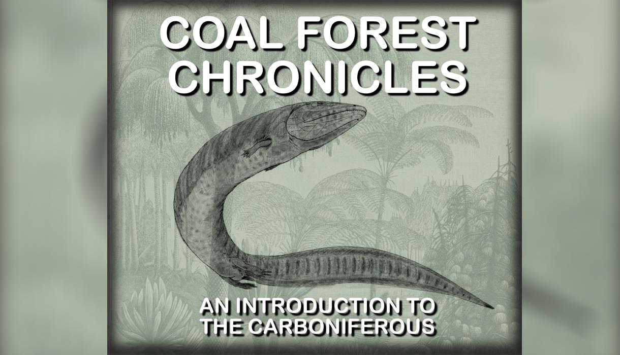 Friday Twilight  - Coal Forest Chronicles