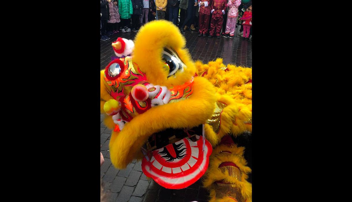 Chinese New Year of the Dragon