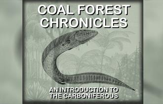 Friday Twilight  - Coal Forest Chronicles