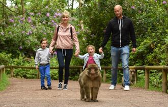 Trentham Monkey Forest