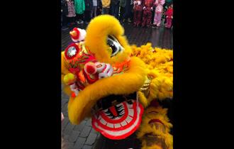 Chinese New Year of the Dragon