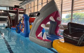 Make a Splash at Fenton Manor