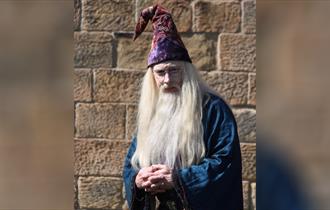 Witches and Wizards at Gladstone