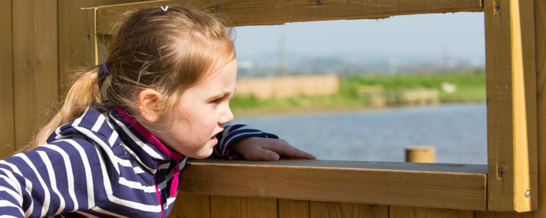 Bird Watching in Exeter