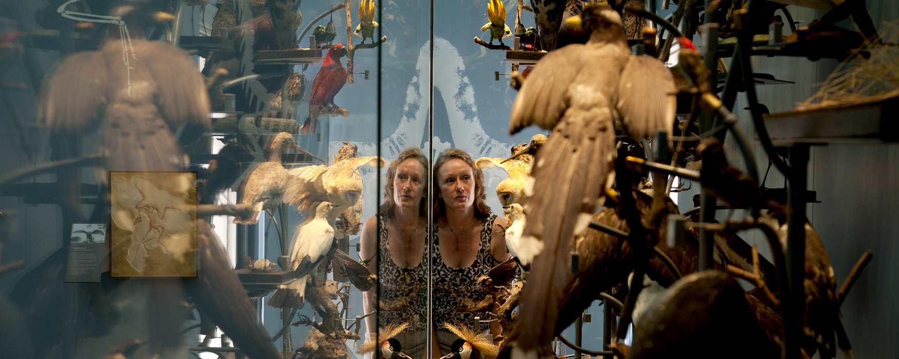 Woman admiring the animals in RAM Museum