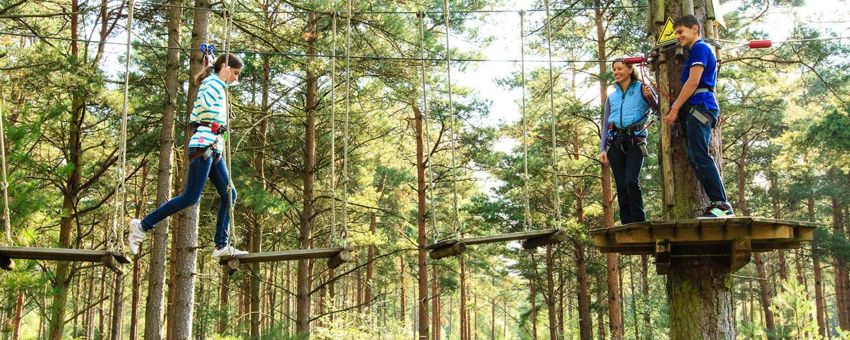 Person in the trees at Go Ape!