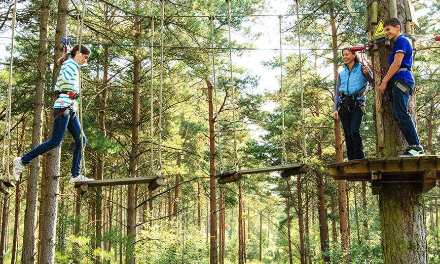 People using the rope bridge at Go Ape!