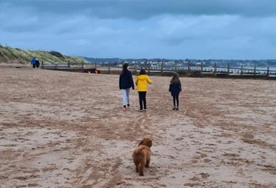 Dog walks on the beach - Dawlish Warren