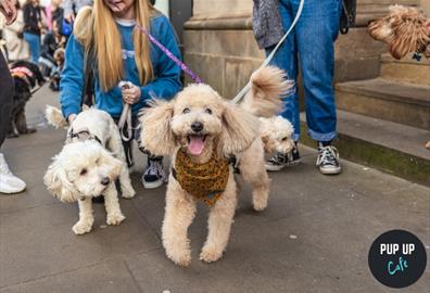 Win Tickets to the Pup Up Cafe Dog Festival at Escot