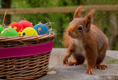 Crackin' Family Easter Activities in Exeter