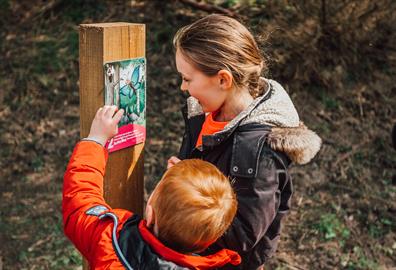 Half term fun at Haldon Forest Park - without breaking the bank!