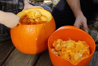 Pumpkin Season in Exeter
