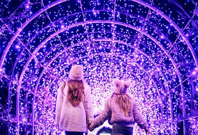 RHS Glow Illuminations