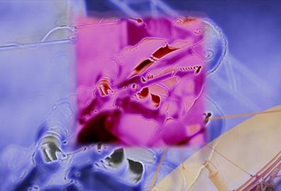 DS:UK Tribute To Dire Straits