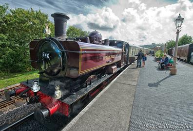 South Devon Railway train