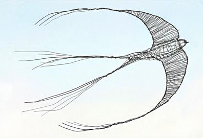 Wire Swallow Sculpting with Lunch & Prosecco