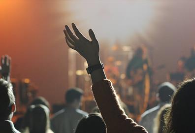 Audience at a music concert