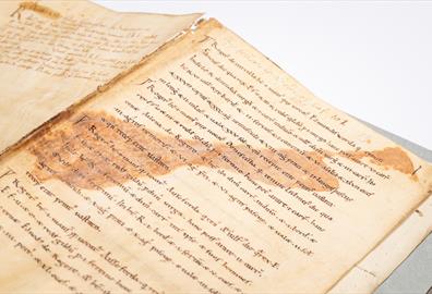 Annual Library Lecture: The Secrets and Silences of Exon Domesday