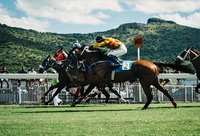 Colorful jockeys in horse race