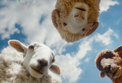 The Sheep Detectives