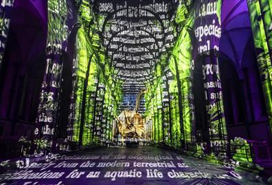 Luxmuralis'lost Worlds - the Breathtaking Sound, Light & Art Experience