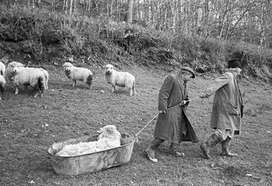 James Ravilious