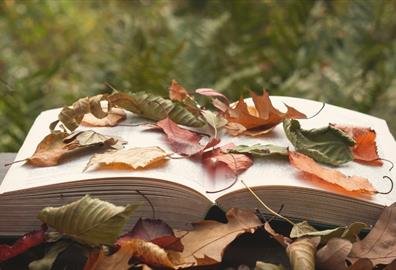 Nature and the Wild Storytelling