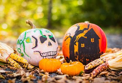 Ears of corn and pumpkins painted like a skull and haunted house