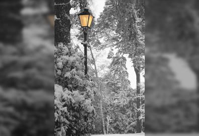 Twelfth Night - A Musical Winter Celebration