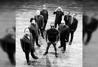 The Specials Ltd.