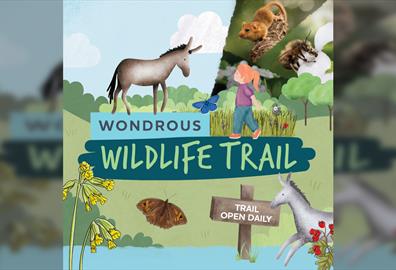 Wonderous Wildlife Spring Trail