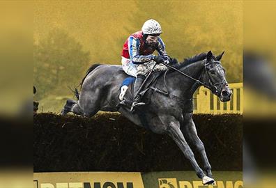 The Day Devon Stops for Racing - Betmgm Haldon Gold Cup