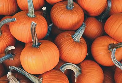 Pile of small orange pumpkins