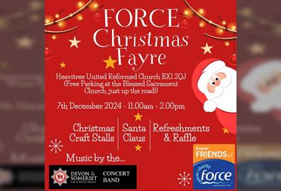 Force Christmas Fayre