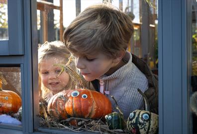 October Half Term - The Secret Life of Pumpkins