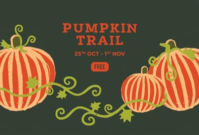 Greendale Pumpkin Trail