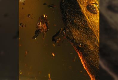 Ben Hartley: Through Yellow Light