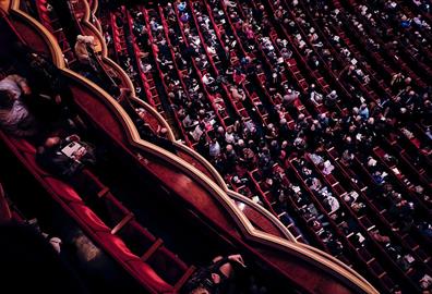 Audience sitting in a performance theatre