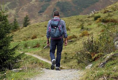 Plant lore on the moor: Dartmoor walk