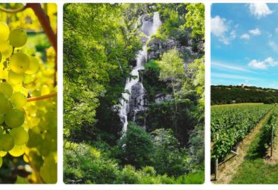 Waterfalls and Wine