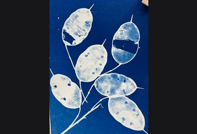 Cyanotype workshop - make a cyanotype Christmas card