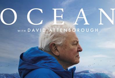 David Attenborough: Ocean