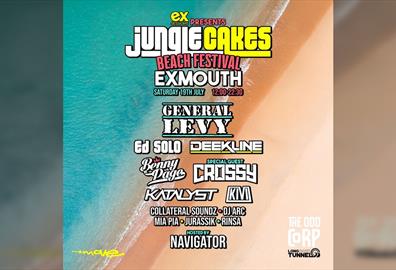 Jungle Cakes Beach Festival