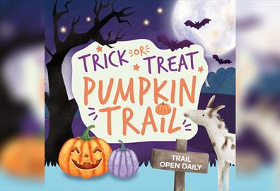 Pumpkin Trick or Treat Trail