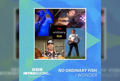 Exeter Record & CD Fair: No Ordinary Fish