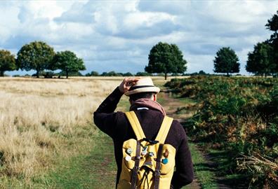Man walking in the countryside