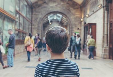 Child looking around a museum