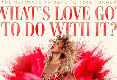 What's Love Got To Do With It?