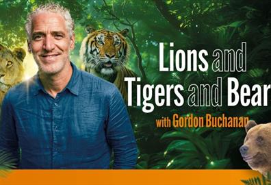 Gordon Buchanan: Lions And Tigers And Bears